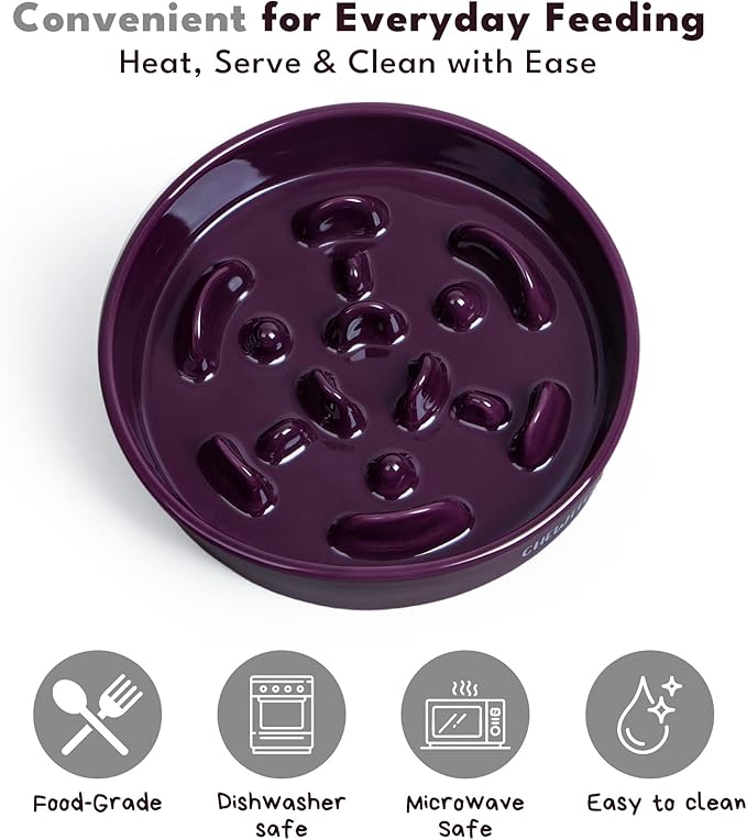 CHEWFFON Ceramic Slow Feeder Dog Bowls, 2 Cups Puzzle Dog Food Bowl for Fast Eaters, Nonslip Stop Bloat Slow Feeder for Small and Medium Breed, Dishwasher Safe, Dark Purple