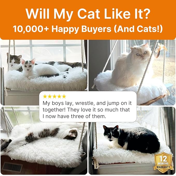Large Cat Window Perch with Industrial-Grade Suction Cups - Solid Pine Wood Hammock Bed, Soft Cushion - 42 lb Capacity for Heavy Cats Inside