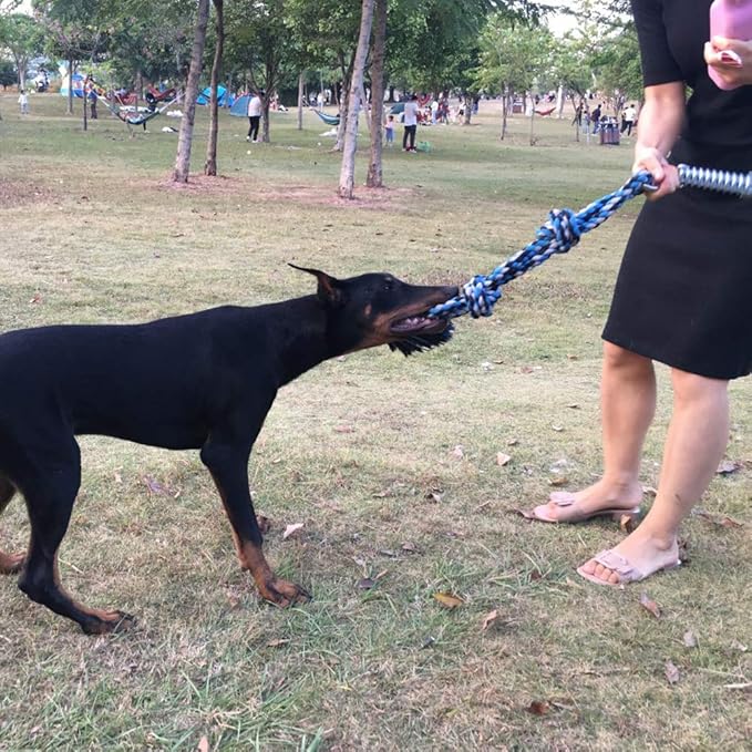 SIXRUN Spring Pole Dog Rope Toy, Rust Proof Steel, Muscle Building, Outdoor Tug of War Exercise, 38.97 Inch, for Large Dogs