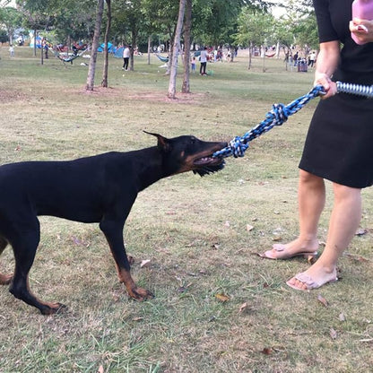 SIXRUN Spring Pole Dog Rope Toy, Rust Proof Steel, Muscle Building, Outdoor Tug of War Exercise, 38.97 Inch, for Large Dogs
