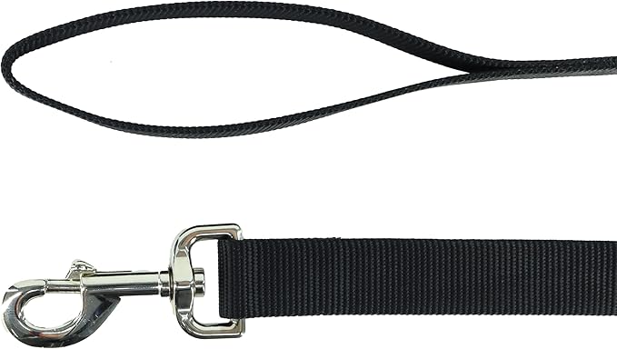 Coastal Pet Single-Ply Dog Leash - Sturdy Pet Leash - Comfortable & Stylish - Resists Fraying - Vibrant & Fade-Resistant Color - Black, 1" x 4'