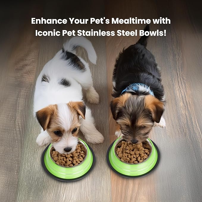 Iconic Pet Color Splash Stripe Non-Skid Stainless Steel Dog & Cat Bowl - Green, 8 Oz, 1 Cup, Durable, Easy to Clean, Anti-Slip Feeding Dish for Food & Water, Stylish Design for Dogs and Cats