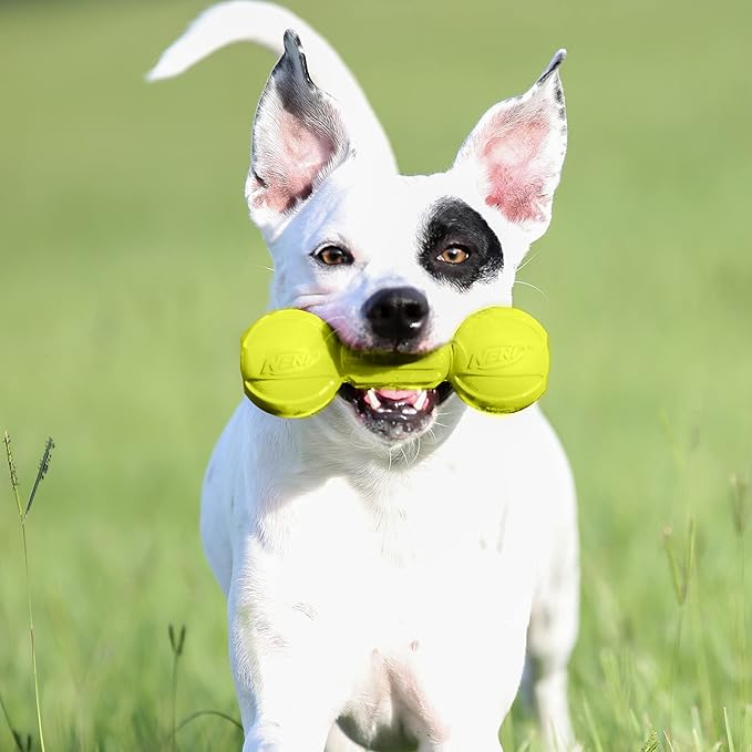Nerf Dog Rubber Chew Barbell Dog Toy for Aggressive Chewers, Lightweight, Durable and Water Resistant, 7.5 Inches, for Medium/Large Breeds, Single Unit, Green (6994)