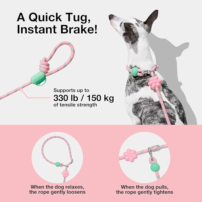 VETRESKA Hands-Free Dog Leash, 8FT Adjustable Rope Leash for Medium Large Dogs, Waist/Crossbody Slip Lead Leashes for Walking, No Pull Dog Leashes with Bag Dispenser, Clip, 3 in 1 Walk Kit (Flora)