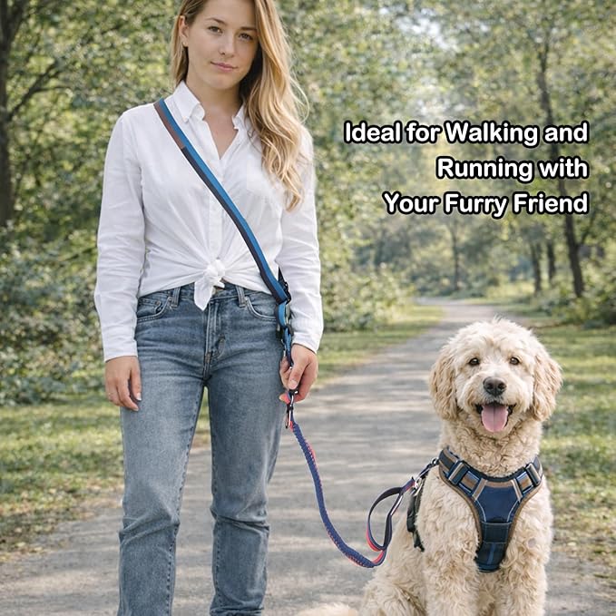 EVERKING 6-in-1 Hands-Free Dog Leash, Adjustable Elastic Reflective Nylon, Dual-Handle Shock Absorbing, 6 Feet, for Small to Large Dogs 30-150lbs (Sunset Blaze)
