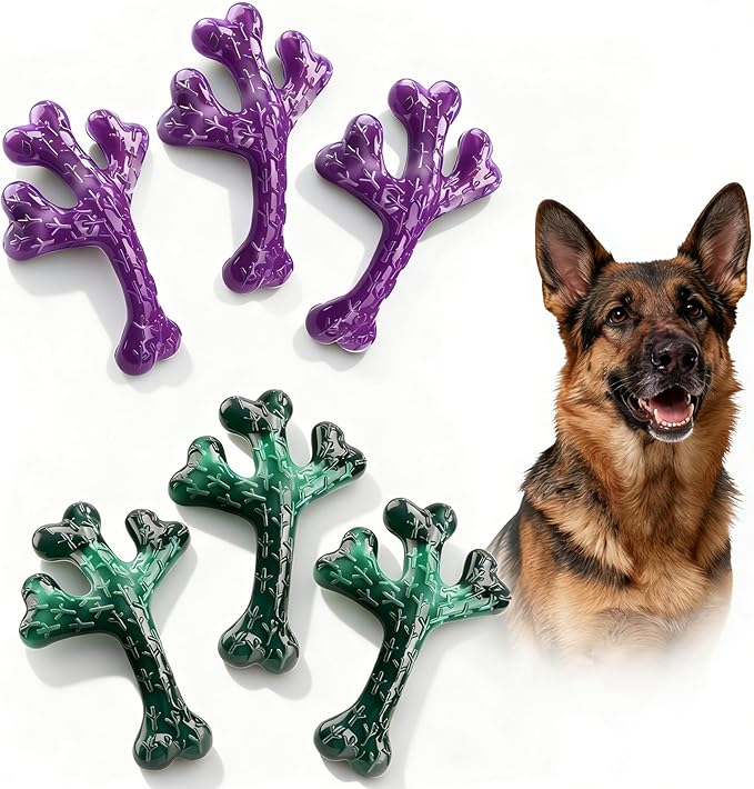 6 Pack (XL Cactus) Indestructible Tough Dog Toys for Aggressive Chewers: Beef Flavored Chew Bone for Large Dogs 20-90 lbs, Long Lasting & Keep Them Busy