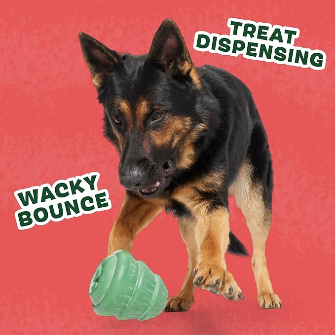 Barkbox Tough Timber Tree Super Chewer Dog Toy – Durable Natural Rubber Treat-Dispensing Christmas Tree Toy with Wacky Bounce – Tough Holiday Fun for Medium to Large Dogs