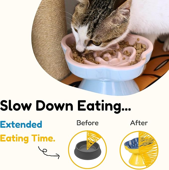 Detachable Slow Feeder Cat Bowl, Unbreakable Elevated Cat Bowls - Heavy Weighted, Non-Slip Raised Slow Feeder, Tilted Small Dogs Slow Feeders Bowl, Dry & Wet Food, Whisker Friendly (Blue, 5.8"