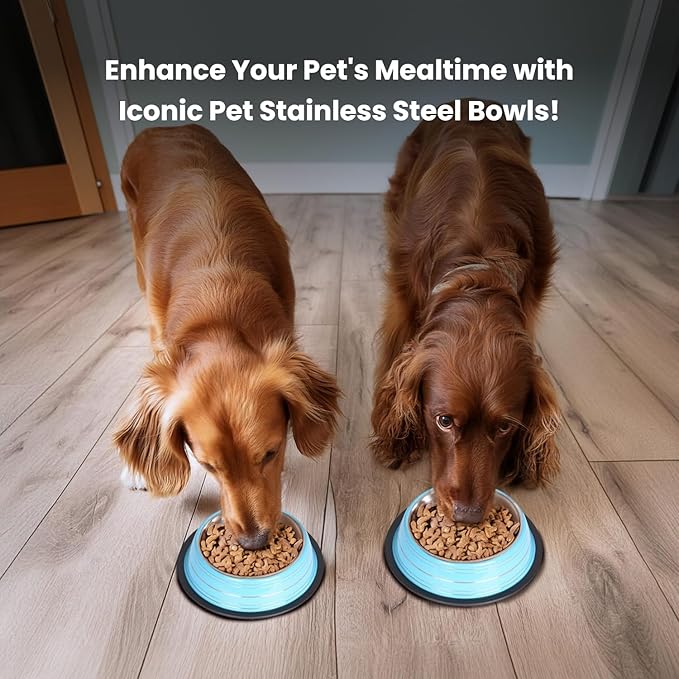 Iconic Pet Color Splash Stripe Non-Skid Stainless Steel Dog & Cat Bowl - Blue, 24 Oz, 3 Cup, Durable, Easy to Clean, Anti-Slip Feeding Dish for Food & Water, Stylish Design for Dogs and Cats