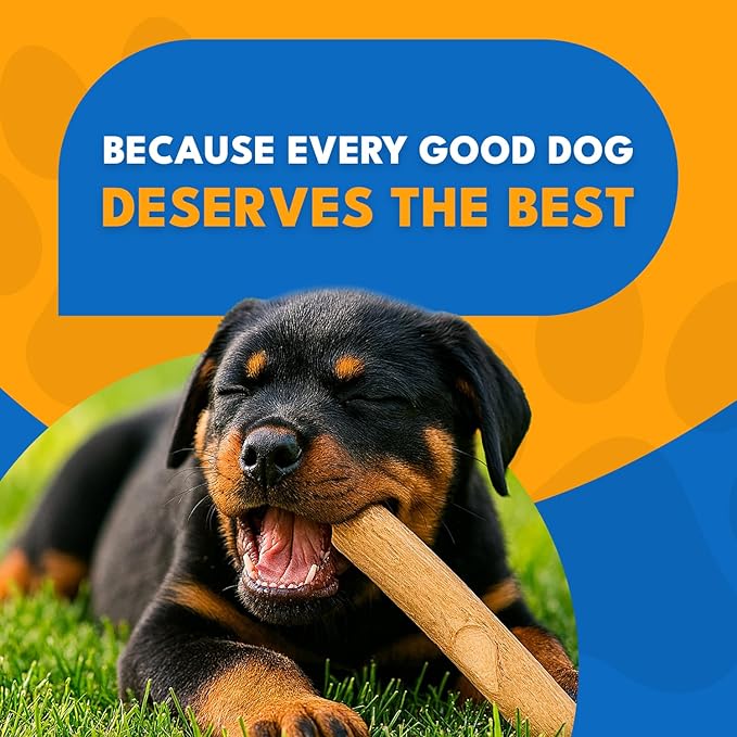 Set 3 of Coffee Wood Dog Chew Toy – Coffee Chew Stick for Small Dogs - Teeth Cleaning & Stress Relief – Safe, Durable & Eco-Friendly Dog Chew Toy (Small - Under 32 lbs)