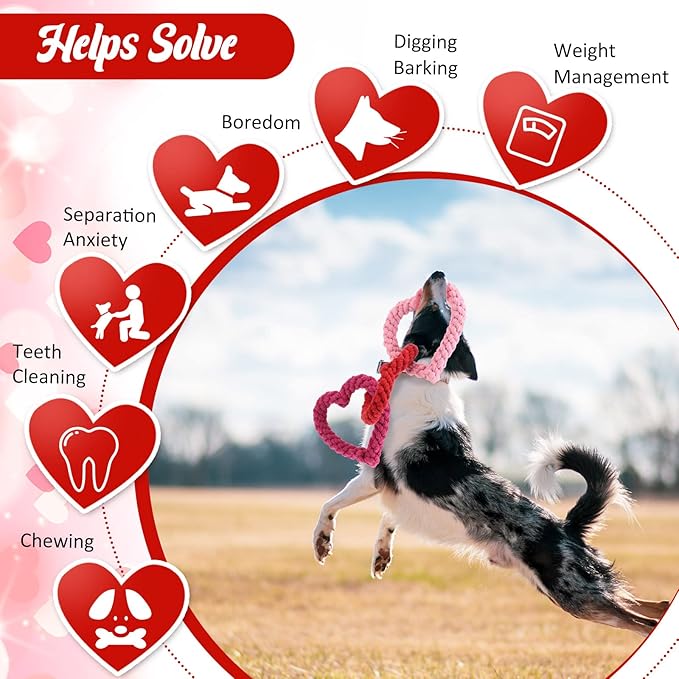 Leitee Valentine‘s Day Chew Toys Heart Interlocking Dog Rope Toy Heart Pet Chew Rope Puppy Throwing Toy Gifts Cotton Chewing Supplies for Small and Medium Dogs