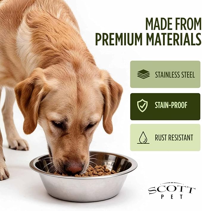 Scott Pet Bowl Stainless Steel 5 Quart,Silver (Pack of 2)