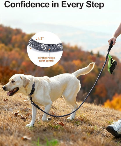 Joytale Dog Leash for Large Dogs, Heavy Duty Nylon Leashes with Comfortable Padded Handle and Highly Reflective Threads, Ideal for Walking and Training, Gray, 5'×1/2''