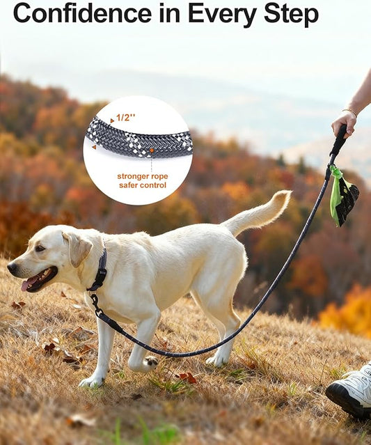 Joytale Dog Leash for Large Dogs, Heavy Duty Nylon Leashes with Comfortable Padded Handle and Highly Reflective Threads, Ideal for Walking and Training, Gray, 5'×1/2''
