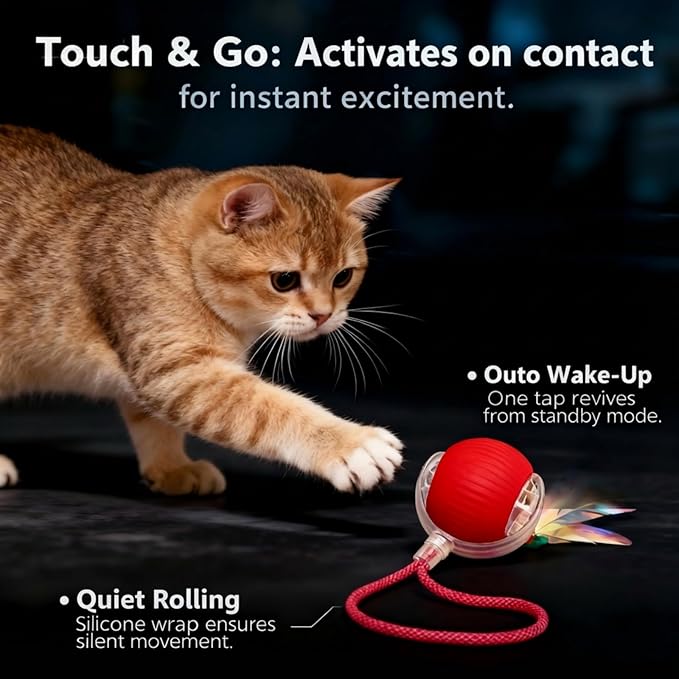 JBD Interactive Cat Toy Ball for Indoor Cats - Silent Automatic Rolling & Self Moving Electric Kitten Toys, USB Rechargeable Smart Ball with Tail, Motion Activated Hunting Exercise for Bored Cats Red