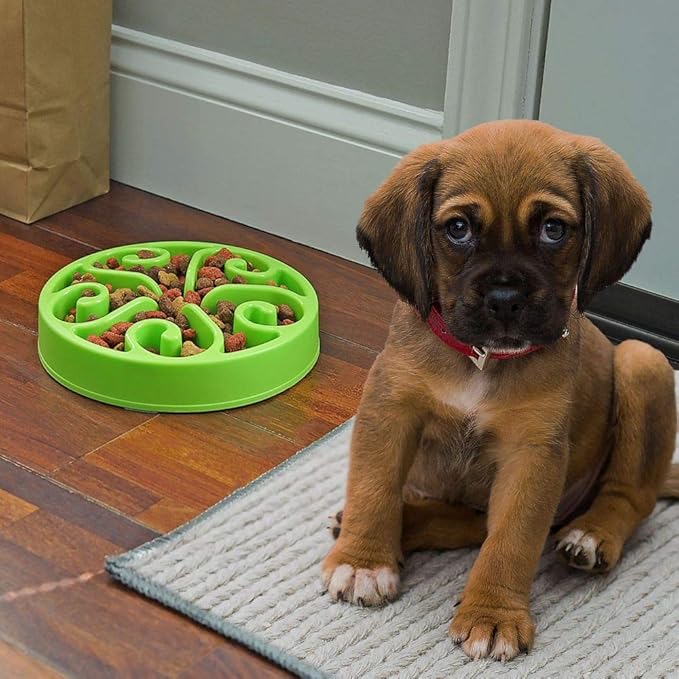 Slow Feeder Dog Bowl Anti-Choking Help Prevent Bloat Non Toxic BPA Free Feeding Dish SH-10303, Green