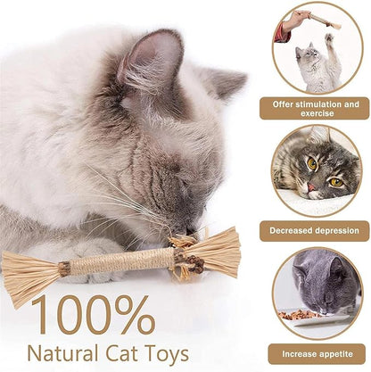 Natural Silvervine Dental Sticks, Silvervine Sticks for Cats, Natural Dental Stick (5pc)