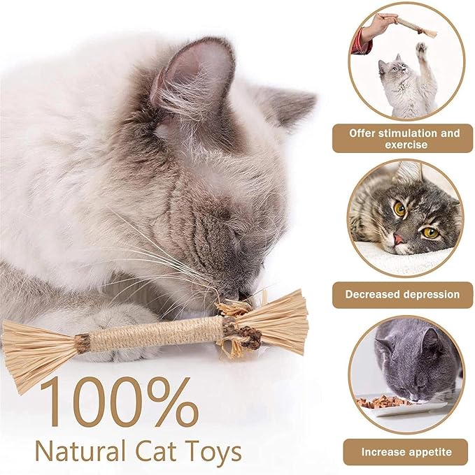 Natural Silvervine Dental Sticks, Silvervine Sticks for Cats, Natural Dental Stick (3pc)
