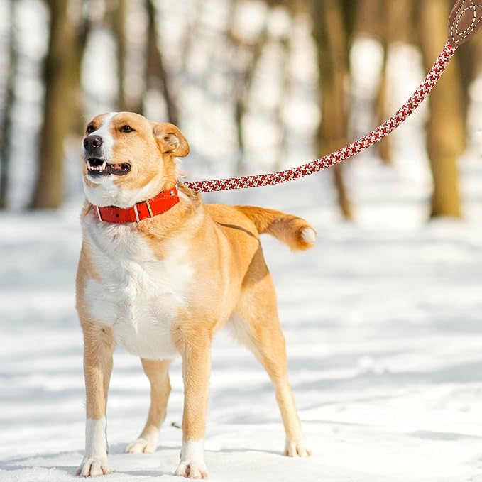 Mile High Life | Mountain Climbing Dog Rope Leash with Heavy Duty Metal Sturdy Clasp | Genuine Leather Tailored Connection with Strong Stitches (Red Khaki1, 48 Inch (Pack of 1))