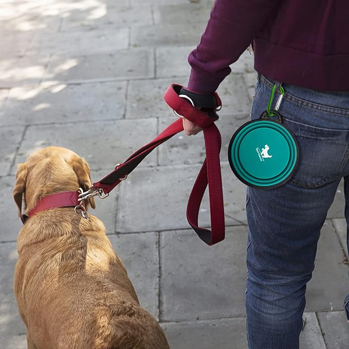 Collapsible Dog Bowls for Travel, 2-Pack Dog Portable Water Bowl for Dogs Cats Pet Foldable Feeding Watering Dish for Traveling Camping with Carabiners, BPA Free (Green&Blue, Medium (Pack of 2))