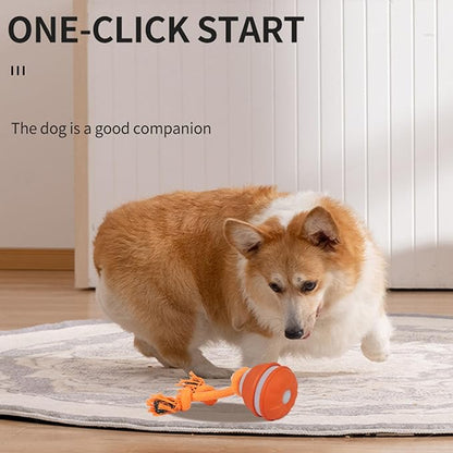 Auto Bouncing Pet Toy with Noise Maker ABS Indoor Outdoor Use for Puppy Exercise Chew Interactive Pet Ball