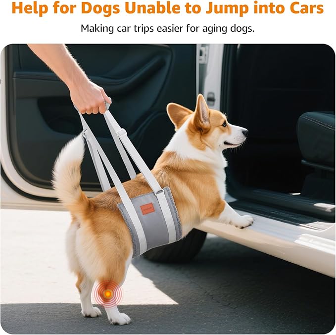 LOOBANI Dog Sling for Medium Dogs Hind Leg Support, Portable Dog Lift Harness for Back Legs, Comfortable Leg Support Assistance for Elderly Dogs with Hip, ACL Brace, Senior, Injured