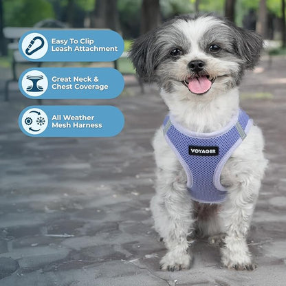 Best Pet Supplies Voyager Step-in Air Harness - All Weather Mesh, Reflective, No Pull Harness for Dogs, Cats - Secure with Hook & Loop Fastener, Buckle, Double D-Rings - Lavender, XXXS