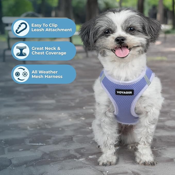 Best Pet Supplies Voyager Step-in Air Harness - All Weather Mesh, Reflective, No Pull Harness for Dogs, Cats - Secure with Hook & Loop Fastener, Buckle, Double D-Rings - Lavender, L