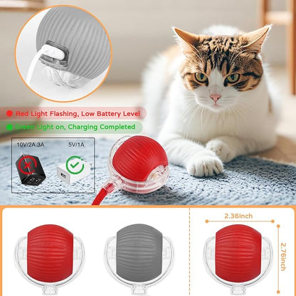 2025 New 2Pack Cat Ball Kitten Toys for Indoor Interactive Kitty Ball Toy Speedy Tail 360° Automatic Rolling for Dog, Cat(Red Grey)