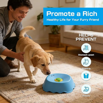 Slow Feeder Dog Bowls Interactive Dog Licking Toy & Lick Bowl for Dogs, Large Capacity Non-Slip Dog Lick Bowl for All Dogs & Cats (1, Black&Black)