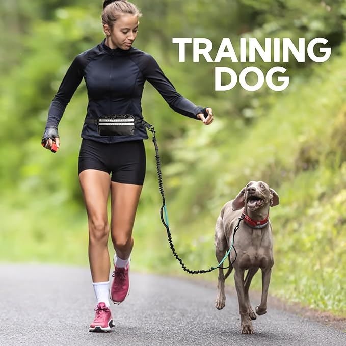 Hands Free Dog Leash, Retractable Bungee with Double Padded Handles, Waist Leash for Dog Walking for Medium & Large Dog Walking Accessories Mint-Green