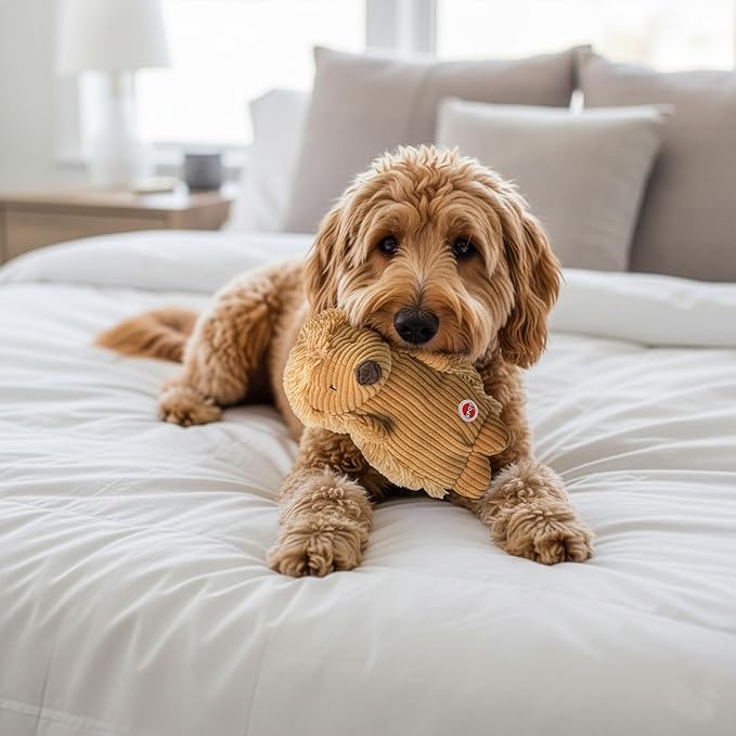 SPOT Corduroy Hedgehog Dog Toy with Squeaker, Textured Plush Toy for Small and Medium Dog Breeds, Light to Moderate Chewers, 8 Inch, Assorted Colors