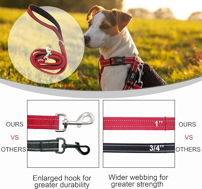 Dual Padded Handle Walking and Training Standard Leashes for Large Breed Dogs that Pull with Reflective Stitching, 360° Rotatable Heavy Duty Metal Buckle,D-Ring,Durable Nylon, 6Ft Long for Big Dogs