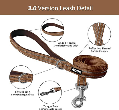 AIITLE Comfortable Dog Harness and Leash Set for Walking - Step in Vest Harness,Reflective Bands, Adjustable No Pull Puppy Essentials, for Small Dogs and House Cats Beige XS