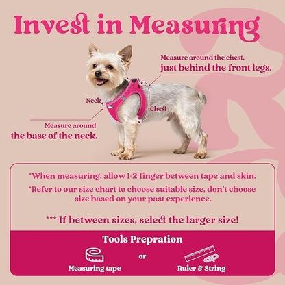 rabbitgoo Small Dog Harness, Step-in Soft Mesh Puppy Vest with Safety Buckle, Breathable Reflective Pet Harness for Large Dogs, Rose Red XXL