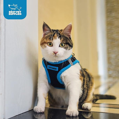 Best Pet Supplies - All Weather Mesh/Plush, Reflective, No Pull Harness for Small, Medium Dogs, Cats - Secure with Hook & Loop Fastener, Buckle, Double D-Rings - Black/Blue Trim, XL