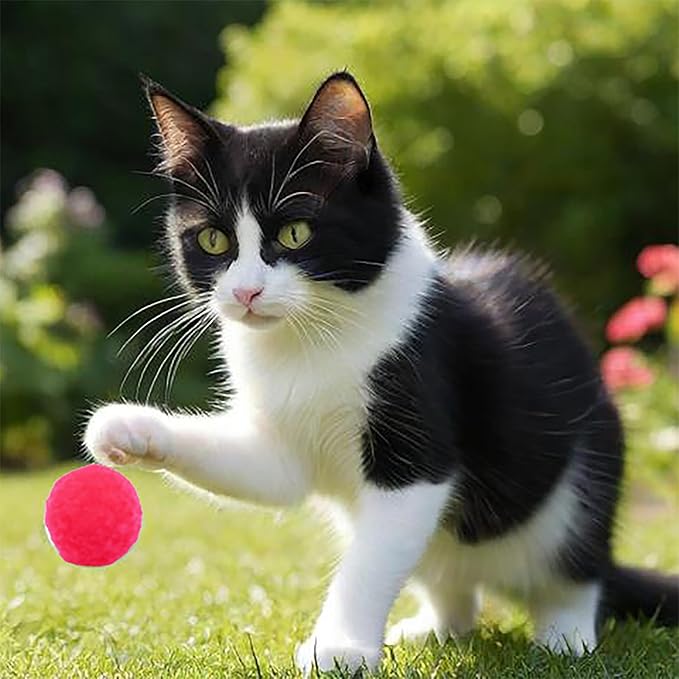 Premium Soft Pom Pom Balls - 50PCS Colorful Pet Toy Balls for Cats, 1.2 Inch Lightweight & Safe Interactive Play, Training, and DIY Crafts