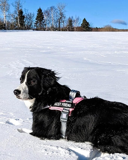 AUROTH Dog Harness and Leash Set, Soft Padded Service Dog Vest with 5.25FT Dog Leash, No Choke, Easy On Pet Vest, Adjustable Reflective No Pull Pet Vest Medium Sized Dog, Easy Walking and Training