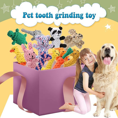Sumind 12 Pcs Dog Rope Toys for Aggressive Chewers Valentine Gifts for Puppy Animal Rope Chew Toy Interactive Toys for Small Medium Large Dog Pets Puppy Playtime, 12 Styles(Giraffe)