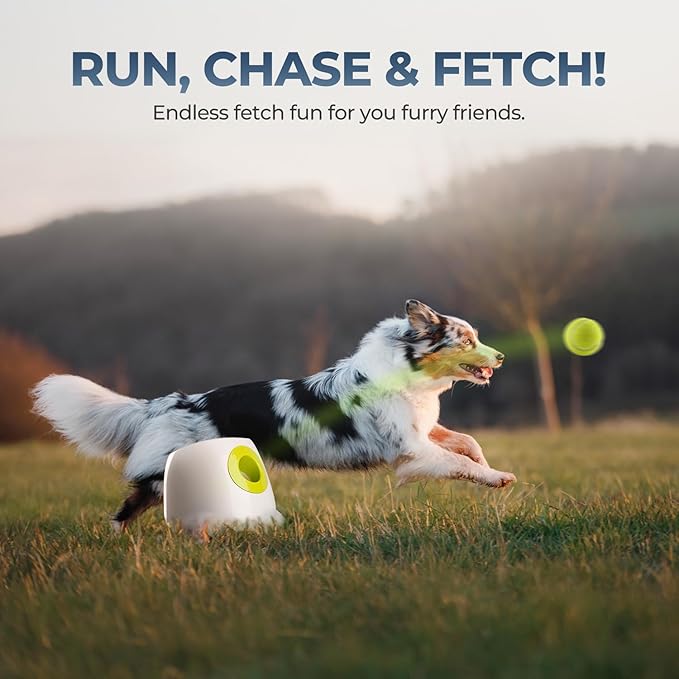 ALL FOR PAWS Automatic Dog Ball Launcher, Interactive Fetch Toy for Medium to Large Dogs, Rechargeable Pet Ball Thrower Machine for Outdoor Play, 6 Pcs 2.5-Inch Balls Included