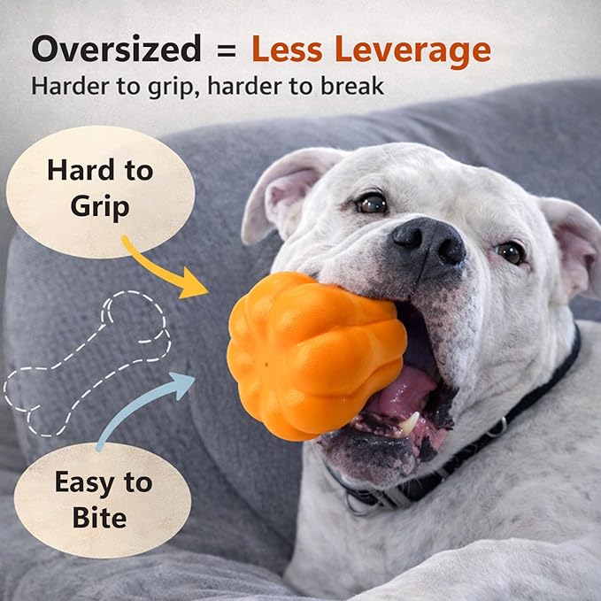 Large Dog Chew Toy with Squeaker, Tough TPR Pumpkin Toy for Strong Chewers (40 lbs+), Textured Dental Ridges, Interactive Indoor & Outdoor Fetch Toy