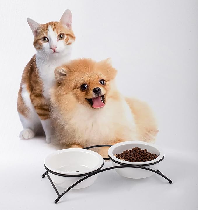 Cat & Dog Bowls - Ceramic Elevated Pet Raised Cat Food Bowls, 12 Ounce, Dishwasher Safe