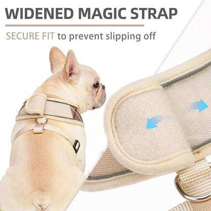 PUPTECK Soft Mesh Dog Harness Small Sized and Leash Set Pet Puppy Cat Comfort Padded Vest No Pull Harnesses, Beige Plaid, Openable Neck, New S
