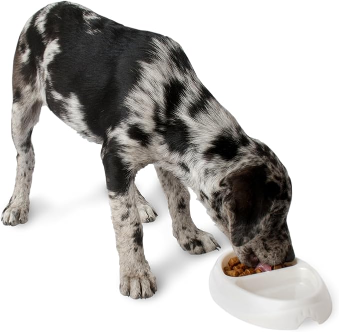 Petmate 23174 Double Diner Pet Dish, Small