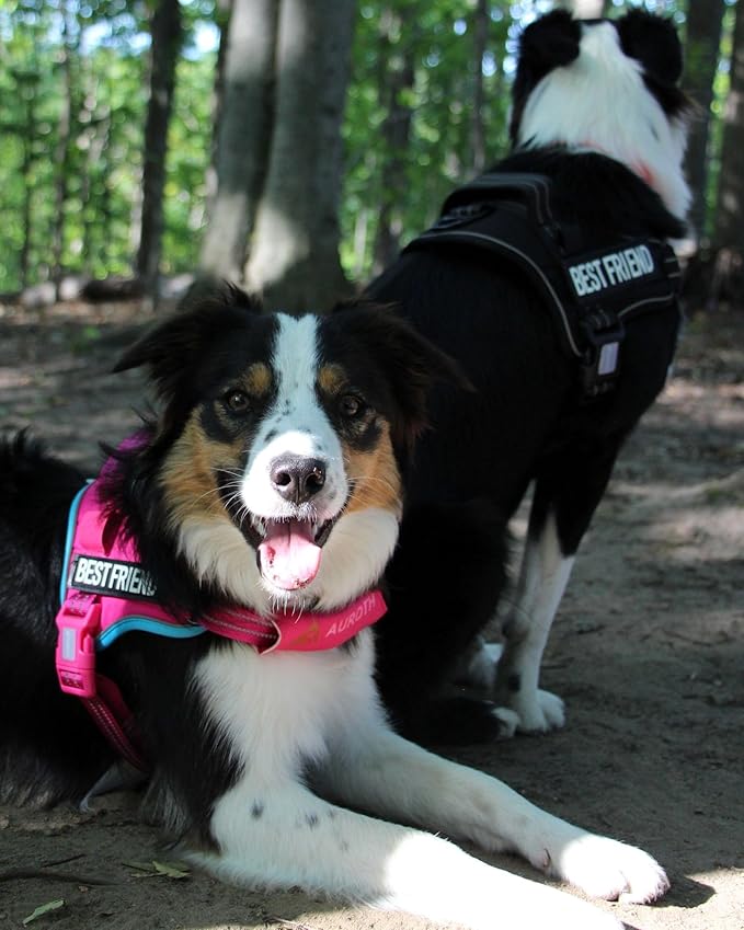 AUROTH Dog Harness and Leash Set, Soft Padded Service Dog Vest with 5.25FT Dog Leash, No Choke, Easy On Pet Vest, Adjustable Reflective No Pull Dog Harness for Large Dogs, Easy Walking and Training