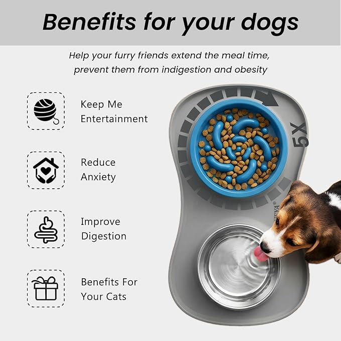 Slow Feeder Dog Bowls Stainless Steel Food and Water Bowl Set 3 in 1 No Spill Waterproof Silicone Pet Food Mat Puppy Feeding Station for Large Medium Small Breed Non Slip Metal Dish Tray by YINEYA
