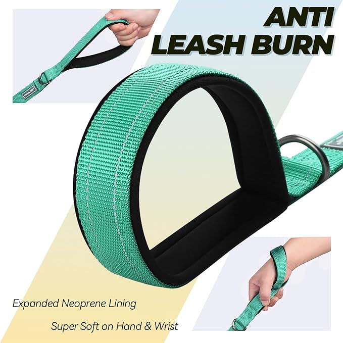 VIVAGLORY Dog Leash Twingrip Double Handle Dog Leash with Traffic Handle Control & 2 Loop for Walking & Training, Reflective Heavy Duty for Puppy Pet Collar, 6ft x 1in, Turquoise