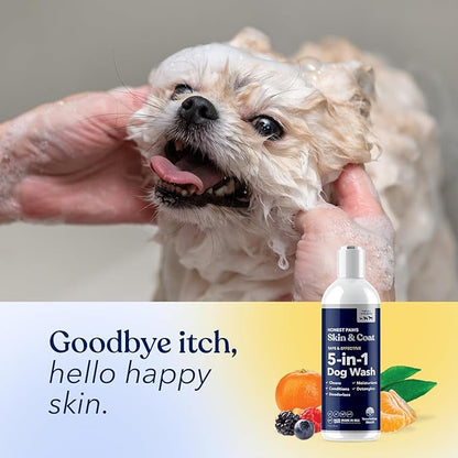 Honest Paws Dog Shampoo and Conditioner - Premium Dog Wash for Allergies and Dry, Itchy, Moisturizing for Sensitive Skin - Sulfate Free, Plant Based, All Natural -16 Fl Oz