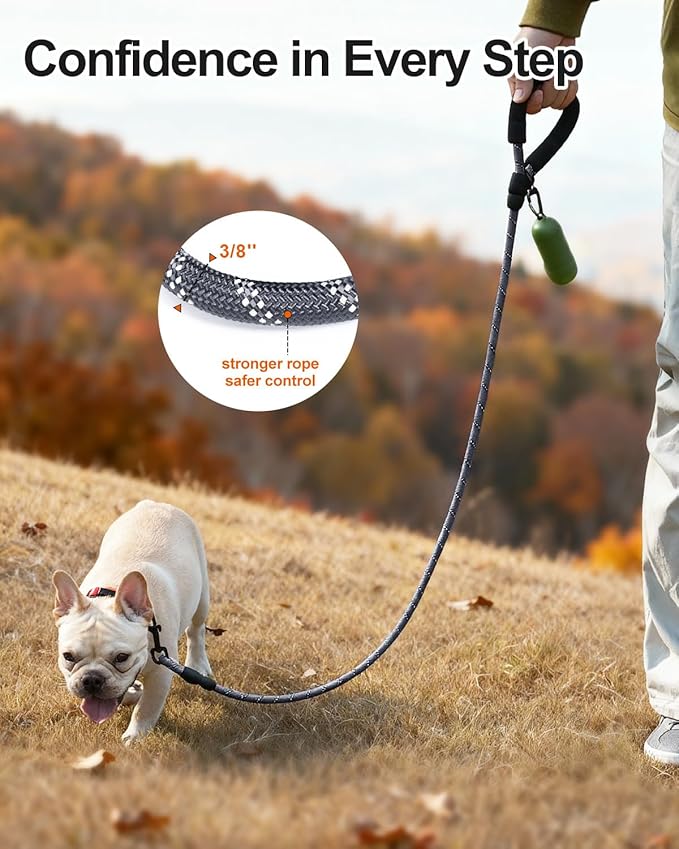 Joytale Dog Leash for Small Dogs, Heavy Duty Nylon Leashes with Comfortable Padded Handle and Highly Reflective Threads, Ideal for Walking and Training, Gray, 6'×3/8''