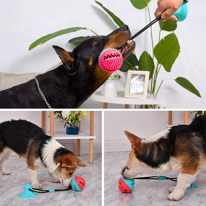 Guardians Dog Chew Toy with Suction Cup for Aggressive Chewers, Puppy Training Treats, Food Dispensing Ball, Pet Teeth Cleaning Rope Toys for Small Medium Dogs (Blue&Red)